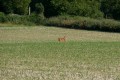 12 06 24 à 100m